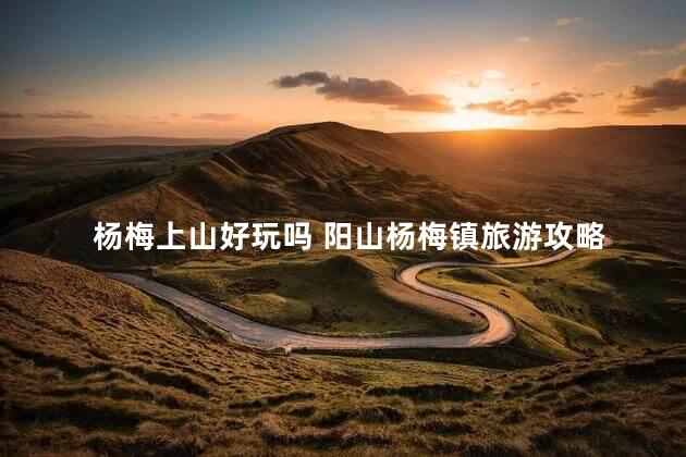 杨梅上山好玩吗 阳山杨梅镇旅游攻略